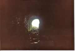 
Stags Fell Mine, Wensleydale, Yorkshire, June 1982